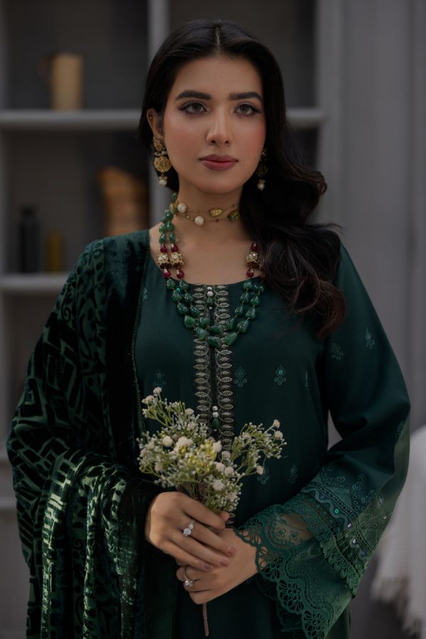 Noor Jahan Monal Velvet Shawl`25 D#4