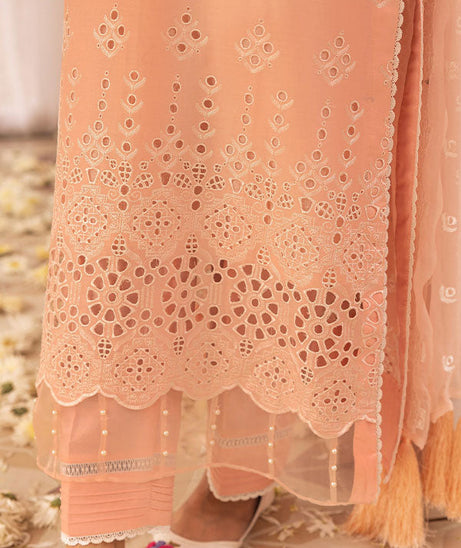 RA Mahees Afshan Lawn`25 D#6