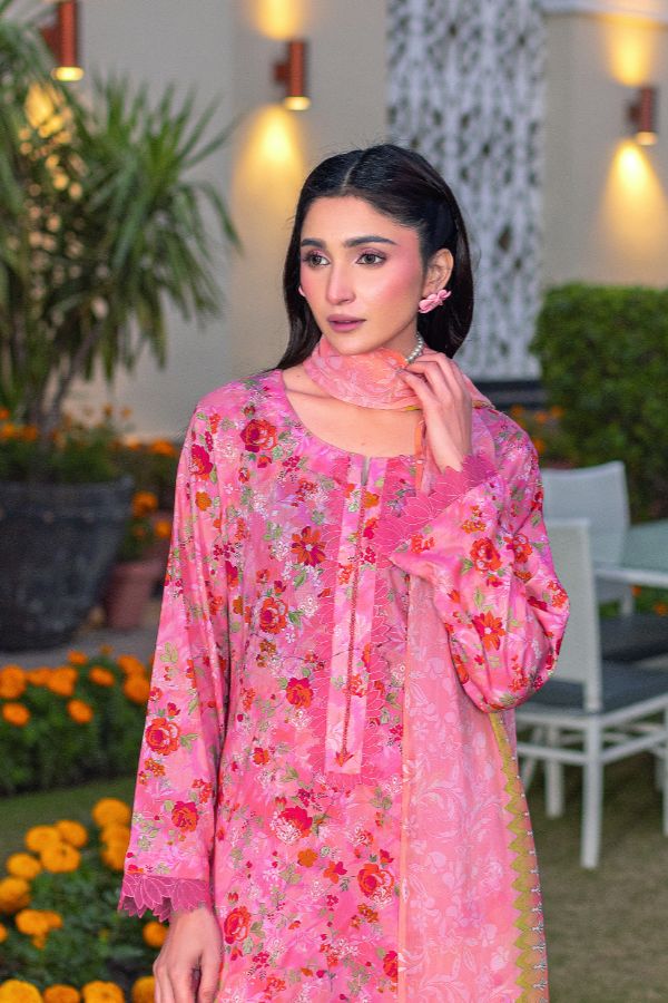 RA Gulkari C/Kari Lawn`26 SH#6