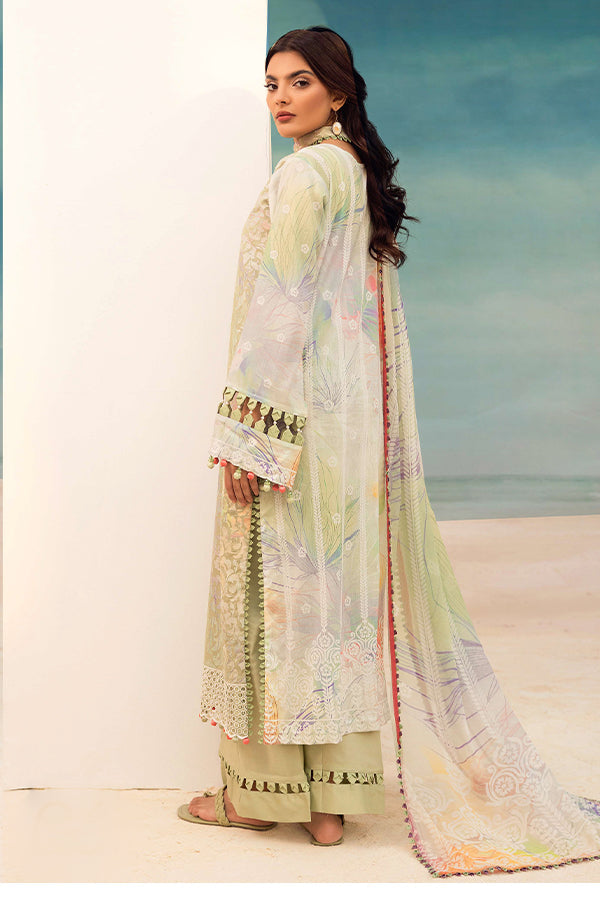 RA Mahee`s R/Bahar Lawn` 25 V#9 M#06