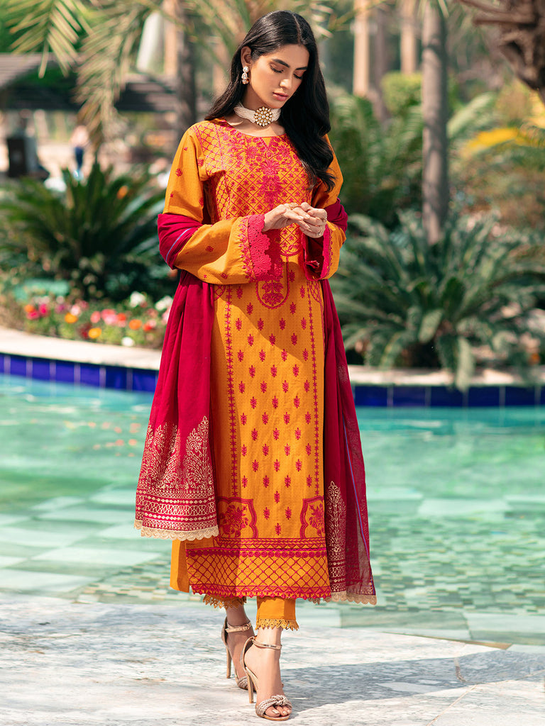 Raj Bari Exclusive V/Jacquard'22 D#2-B