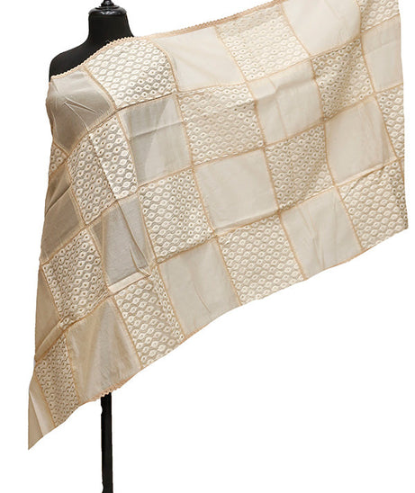 Tissue Emb Dupatta D#1-D
